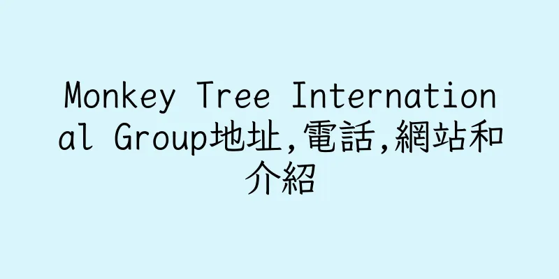 香港Monkey Tree International Group地址,電話,網站和介紹