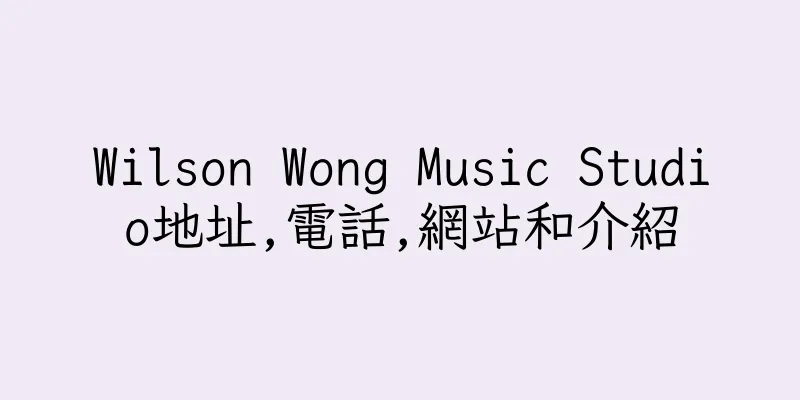 香港Wilson Wong Music Studio地址,電話,網站和介紹