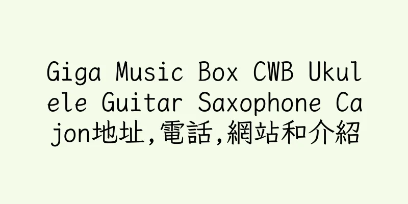 香港Giga Music Box CWB Ukulele Guitar Saxophone Cajon地址,電話,網站和介紹