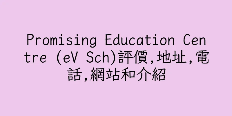 香港Promising Education Centre (eV Sch)評價,地址,電話,網站和介紹