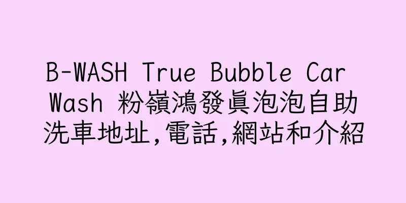 香港B-WASH True Bubble Car Wash 粉嶺鴻發真泡泡自助洗車地址,電話,網站和介紹