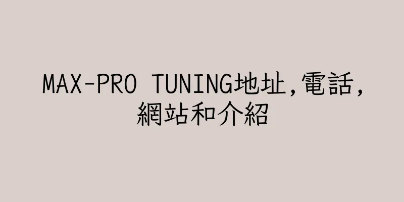 香港MAX-PRO TUNING地址,電話,網站和介紹
