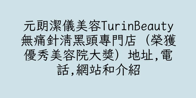 香港元朗潔儀美容TurinBeauty無痛針清黑頭專門店（榮獲優秀美容院大獎）地址,電話,網站和介紹