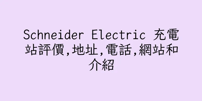 香港Schneider Electric 充電站評價,地址,電話,網站和介紹